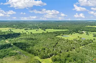 1010 St Delight Rd, Paige, TX 78659 - Photo 47