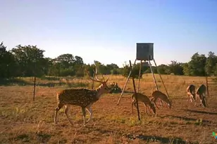 7800 Co Rd 210, Bertram, TX 78605 - Photo 31