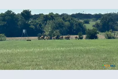 7800 County Road 210, Bertram, TX 78605 - Photo 21