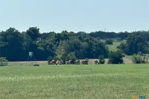 7800 Co Rd 210, Bertram, TX 78605 - Photo 21