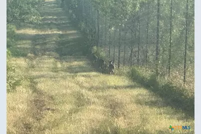 7800 County Road 210, Bertram, TX 78605 - Photo 23