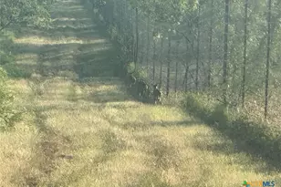 7800 Co Rd 210, Bertram, TX 78605 - Photo 23