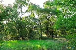 12175 N US Hwy 183, Florence, TX 76527 - Photo 15