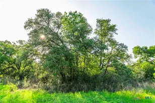 12175 N US Hwy 183, Florence, TX 76527 - Photo 19