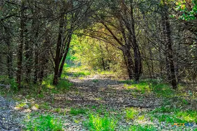 12175 N US Hwy 183, Florence, TX 76527 - Photo 21