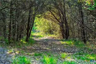 12175 N US Hwy 183, Florence, TX 76527 - Photo 21