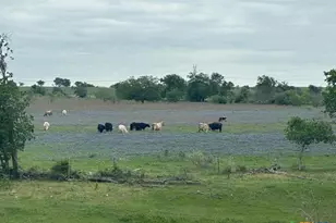 Tbd Hackberry Rd, Salado, TX 76571 - Photo 5