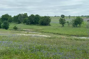 Tbd Hackberry Rd, Salado, TX 76571 - Photo 3