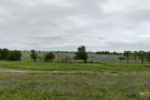 Tbd Hackberry Rd, Salado, TX 76571 - Photo 21