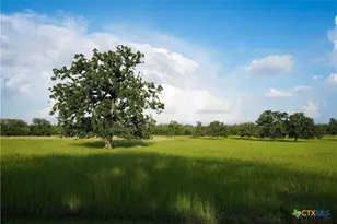 8058 Milam County Rd 455, Lexington, TX 78947 - Photo 31