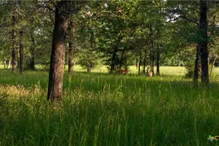 8058 Milam County Rd 455, Lexington, TX 78947 - Photo 37