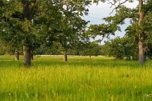 8058 Milam County Rd 455, Lexington, TX 78947 - Photo 41