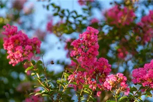 8058 Milam County Rd 455, Lexington, TX 78947 - Photo 29