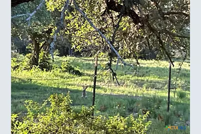 2826 Cattle Guard Road, Cuero, TX 77954 - Photo 17