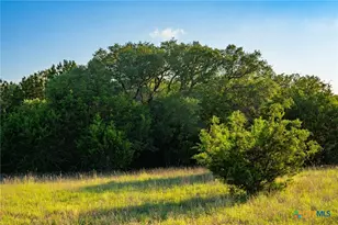 1305 Co Rd 3800, Lampasas, TX 76528 - Photo 25