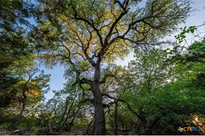 1305 County Road 3800, Lampasas, TX 76528 - Photo 11