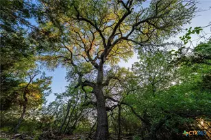 1305 Co Rd 3800, Lampasas, TX 76528 - Photo 11