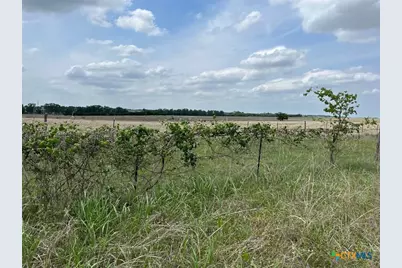 000 County Road 269, Oglesby, TX 76561 - Photo 11