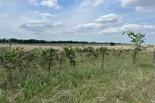 000 County Road 269, Oglesby, TX 76561 - Photo 11