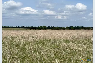 000 County Road 269, Oglesby, TX 76561 - Photo 9