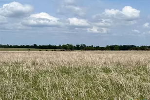 000 County Road 269, Oglesby, TX 76561 - Photo 9