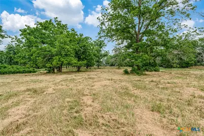 10767 Rosemar Lane, Adkins, TX 78101 - Photo 25