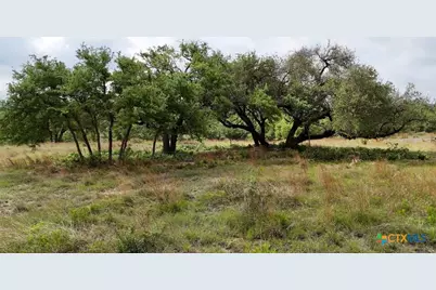 207 Verbena Court, Johnson City, TX 78636 - Photo 13