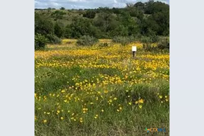 207 Verbena Court, Johnson City, TX 78636 - Photo 1