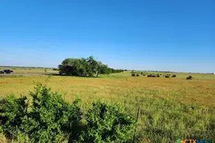 Tbd Hwy 183, Briggs, TX 76527 - Photo 21