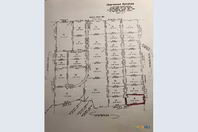 Lot 9 Misty Woods, Bertram, TX 78605 - Photo 3