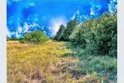 5350 Soda Springs Road, Luling, TX 78648 - Photo 7