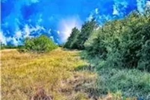 5350 Soda Springs Rd, Luling, TX 78648 - Photo 7