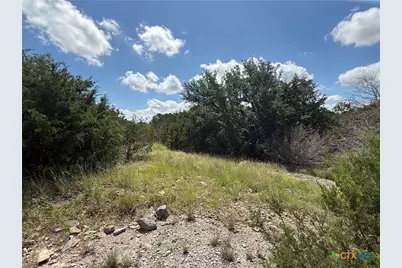 198 Big Bend Drive, Oglesby, TX 76561 - Photo 11