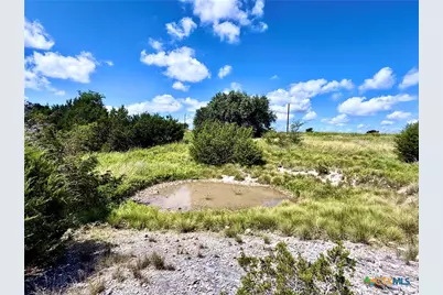 198 Big Bend Drive, Oglesby, TX 76561 - Photo 7