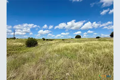 198 Big Bend Drive, Oglesby, TX 76561 - Photo 9