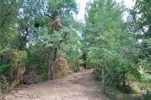 Tbd Cr 420, Waelder, TX 78959 - Photo 41