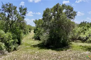 Tbd Cr 420, Waelder, TX 78959 - Photo 35