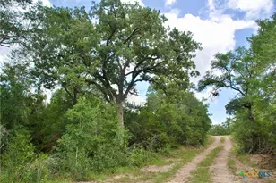 Tbd Cr 420, Waelder, TX 78959 - Photo 17