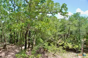 Tbd Cr 420, Waelder, TX 78959 - Photo 43