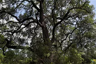 Tbd Cr 420, Waelder, TX 78959 - Photo 7