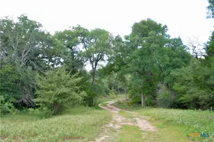 Tbd Cr 420, Waelder, TX 78959 - Photo 11