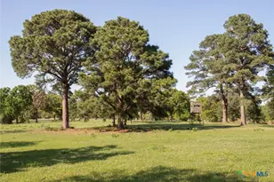 490 John Craft Rd, Red Rock, TX 78662 - Photo 7