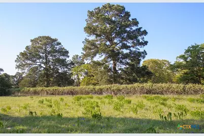 490 John Craft Road, Red Rock, TX 78662 - Photo 35