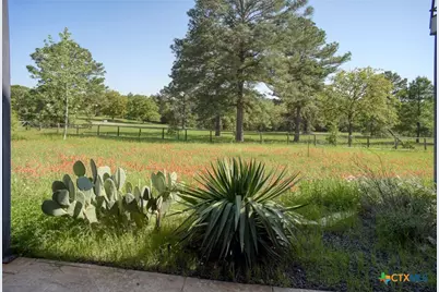 490 John Craft Road, Red Rock, TX 78662 - Photo 23