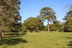 490 John Craft Rd, Red Rock, TX 78662 - Photo 27