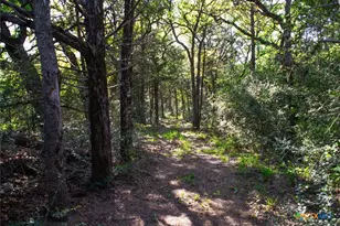 490 John Craft Rd, Red Rock, TX 78662 - Photo 37