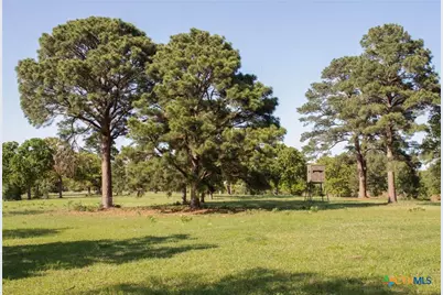 490 John Craft Road, Red Rock, TX 78662 - Photo 21
