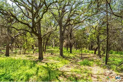 127 Kings Way, New Braunfels, TX 78132 - Photo 11