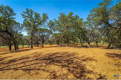 127 Kings Way, New Braunfels, TX 78132 - Photo 13