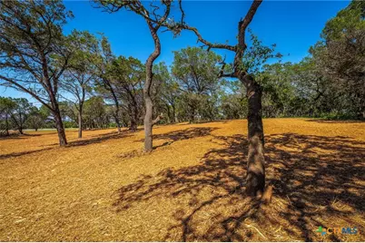 127 Kings Way, New Braunfels, TX 78132 - Photo 17
